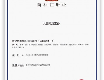 大唐天龙宝香